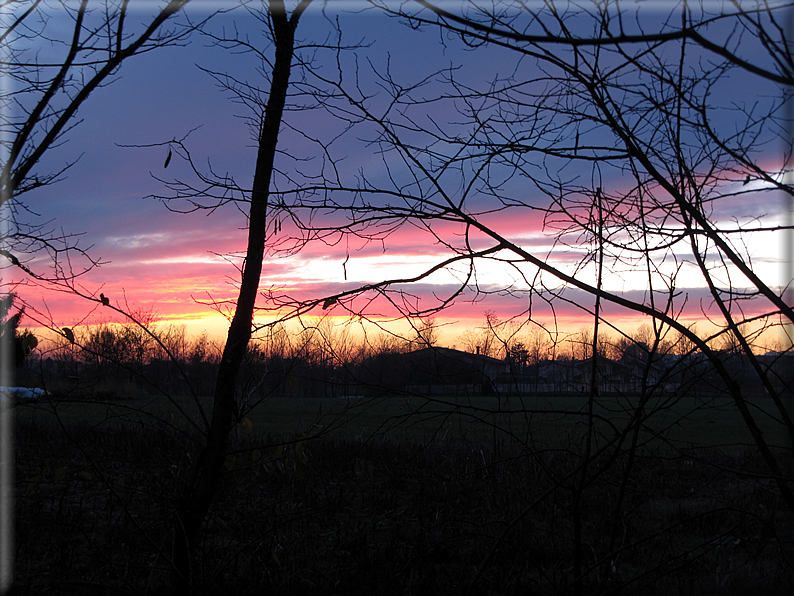 foto Tramonto sui Colli Ezzelini